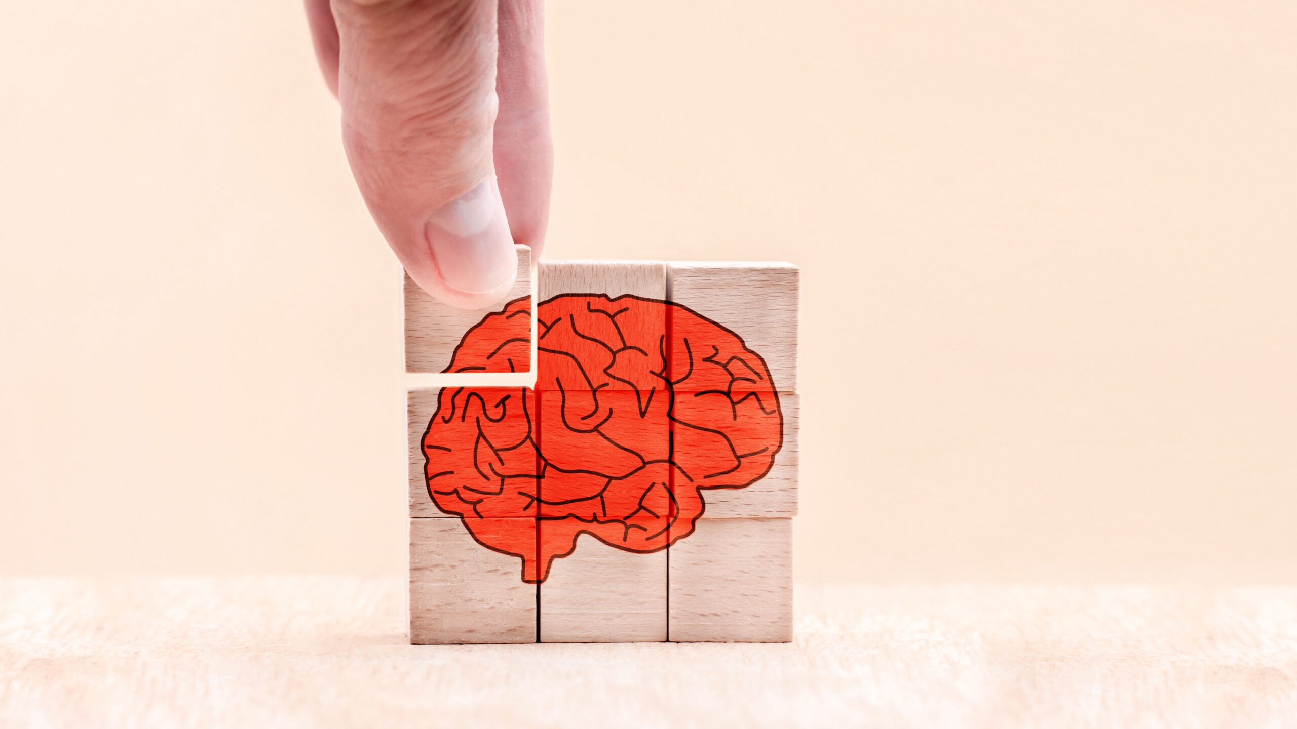 brain-puzzle-concept-illustration-on-wooden-blocks-2026-03-18-09-48-36-utc